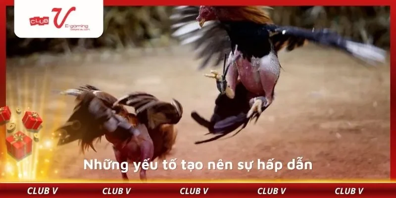 Những yếu tố tạo nên sự hấp dẫn